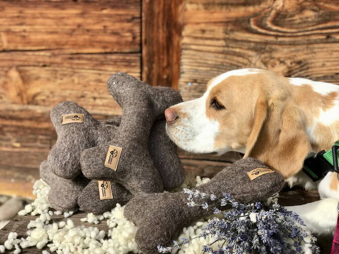 Hunde Gassibegleiter, Spender für Hundekotsäckli 