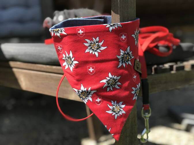 Hundehalstuch Trachtenstoff mit Jeans
