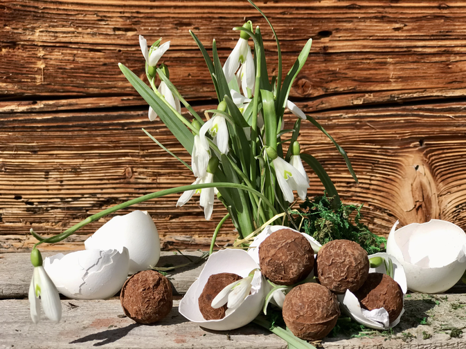 feiner Eierlikör mit Kirsch von Streuobstwiesen
