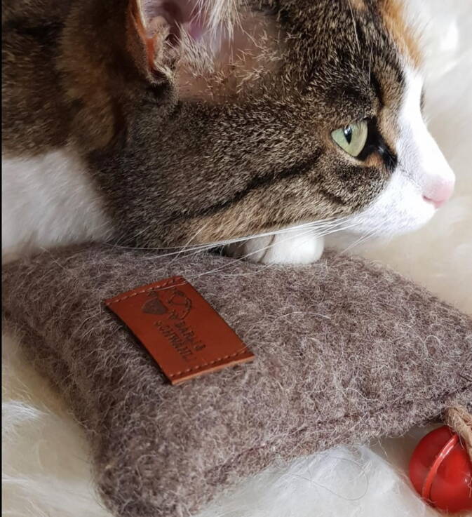 Bandanas für Hunde Bandanas für Hunde