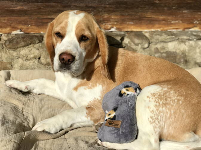 Kuschelkissen mit UrDinkel für Hunde (wärmt oder kühlt)