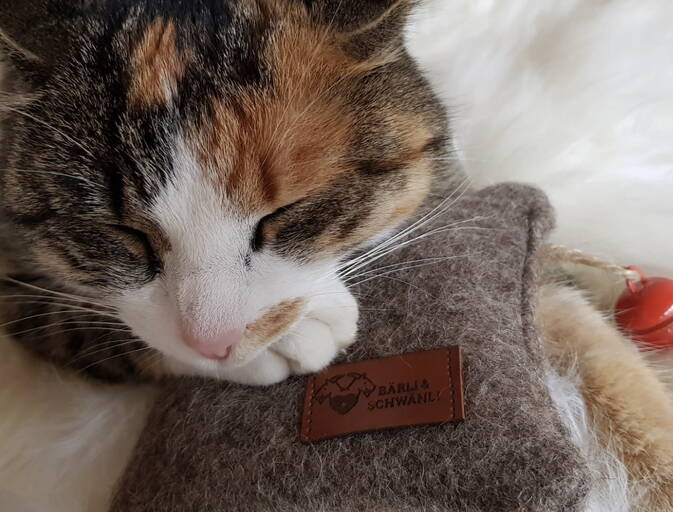 Katzenspielkissen mit Göckchen und Katzenminze Katzenspielkissen mit Göckchen und Katzenminze