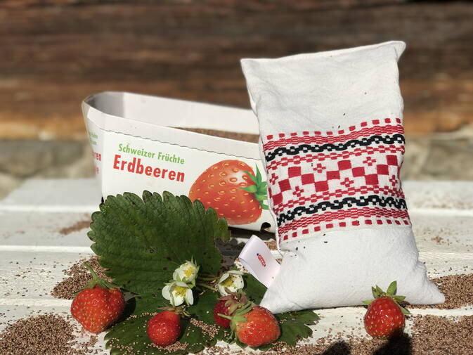 Wellness Säckli aus antikem Bauernleinen mit getrockneten Erdbeerkernen Wellness Säckli aus antikem Bauernleinen mit getrockneten Erdbeerkernen