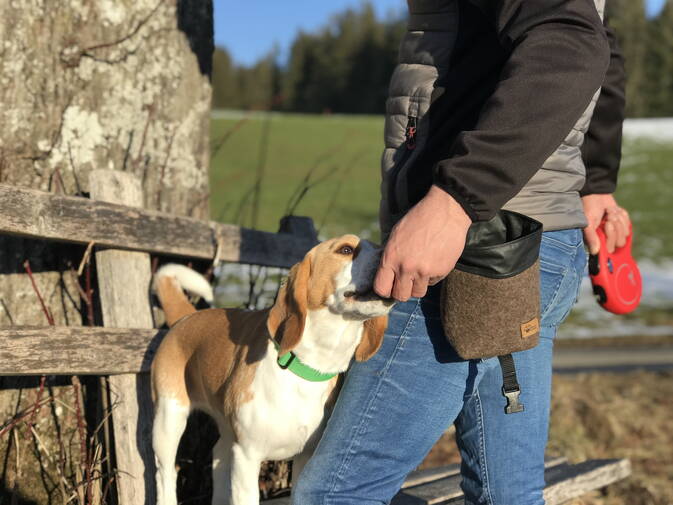 Chrüter Pfötli Hundeseife