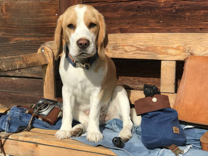 Leckerli Taschen aus Jeans