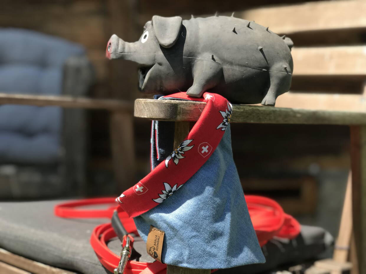 Hundehalstuch Swissness mit Jeans