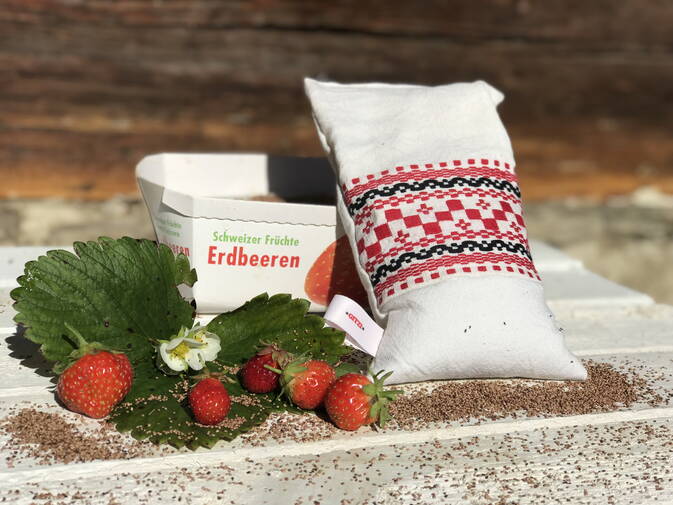 Wellness Säckli aus antikem Bauernleinen mit getrockneten Erdbeerkernen