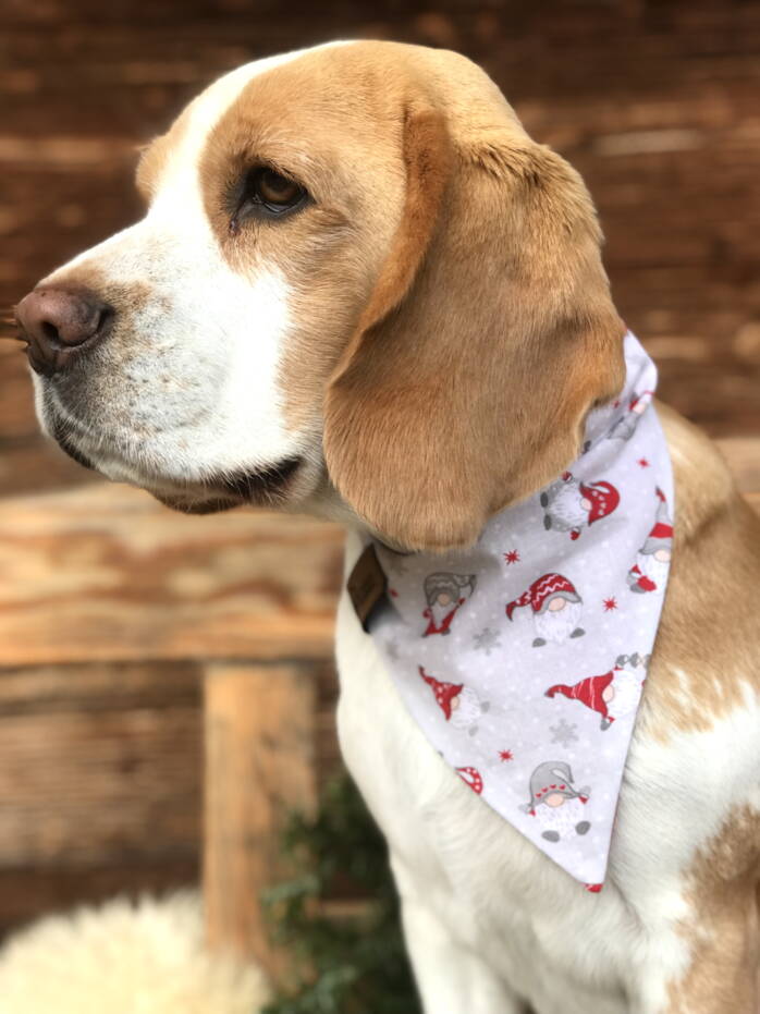 Hundehalstuch WAUNACHTEN Hundehalstuch WAUNACHTEN