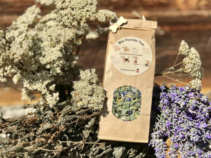 Bio Hunde Tee aus Graubünden