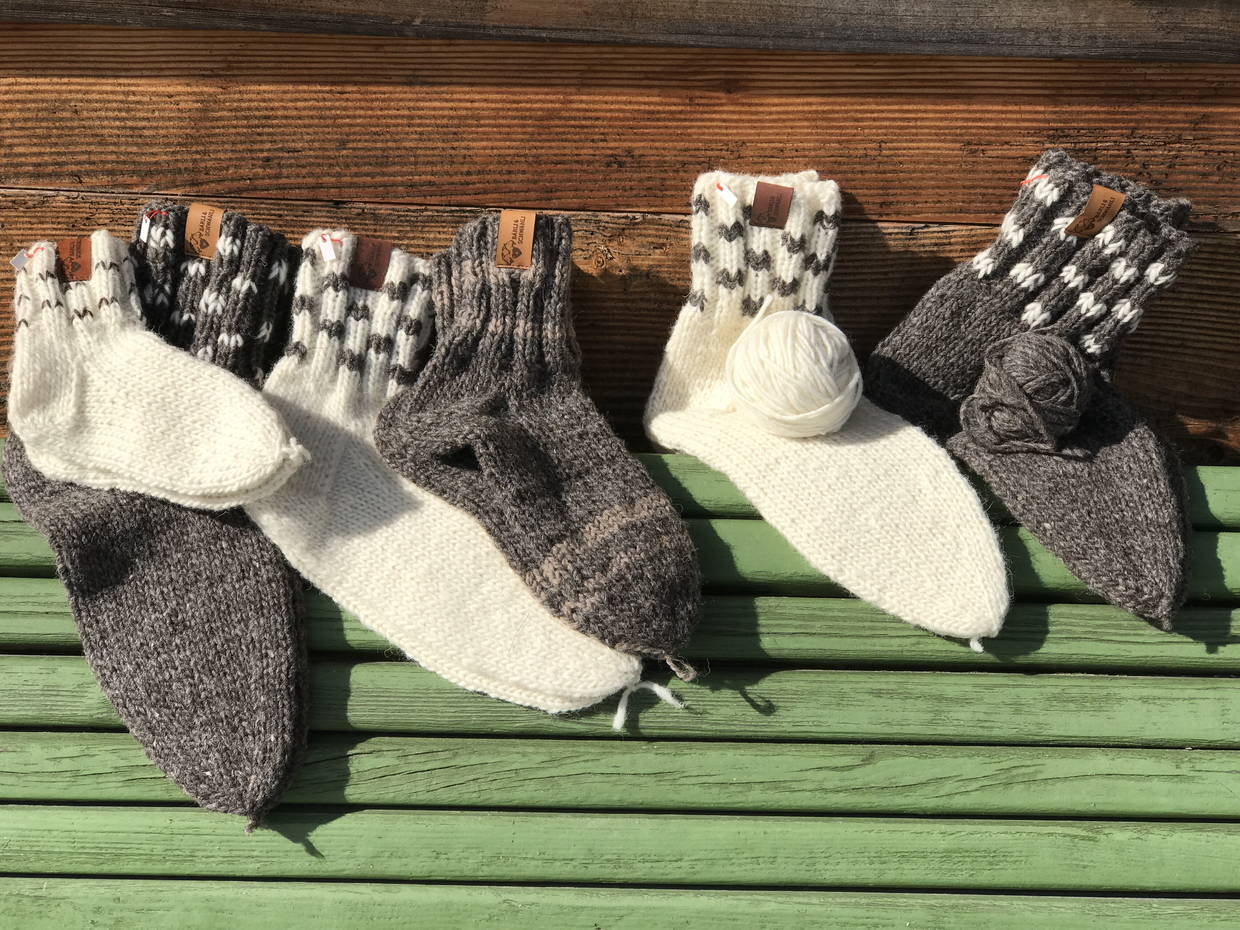 img_0475-1240.jpg img_0475-1240.jpg