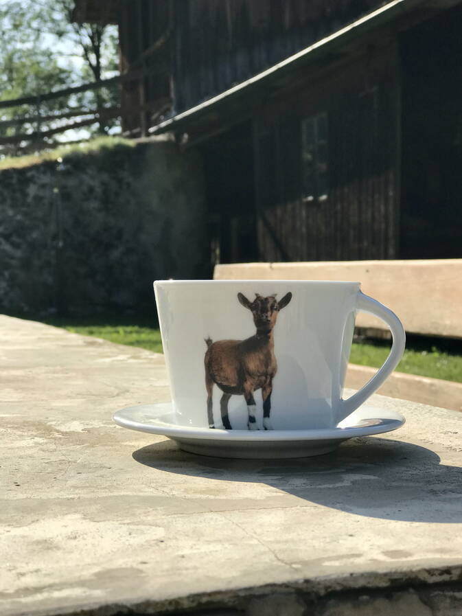 Geissli Tasse, braun-weiss Geissli Tasse, braun-weiss