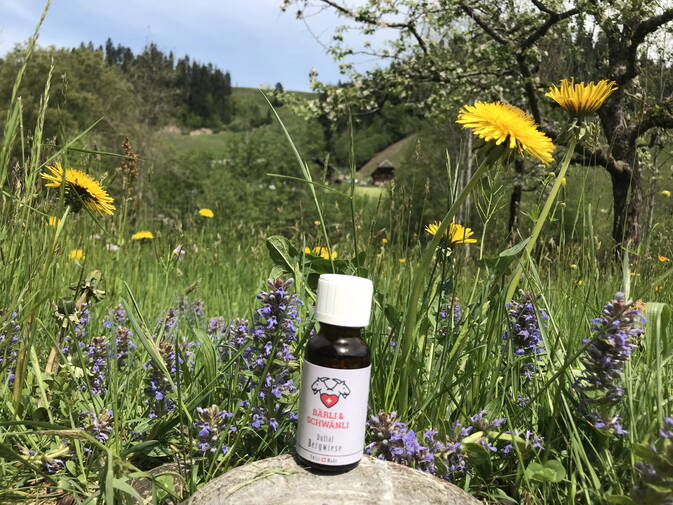 Bergwiesen Duftöl 10 ml Bergwiesen Duftöl 10 ml