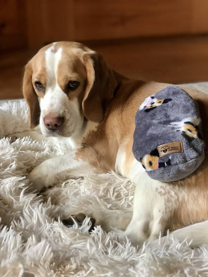 Kuschelkissen mit UrDinkel für Hunde (wärmt oder kühlt)