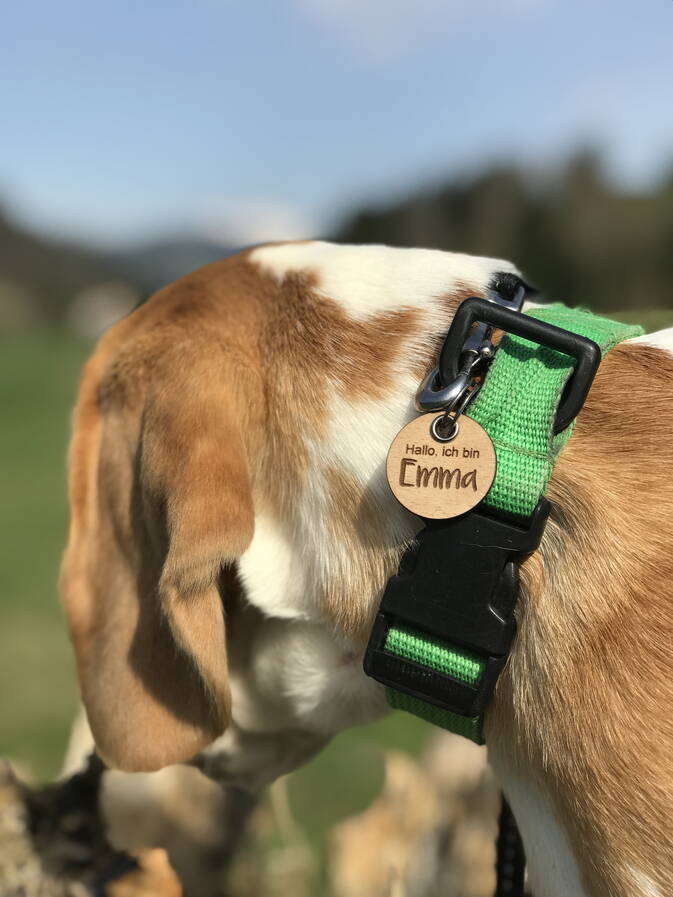 Hundehalsband Anhänger aus Holz "Eiger, Mönch, Jungfrau"